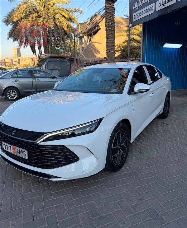 بي واي دي كوين L DM-i 2024 للبيع في العراق -  بغداد